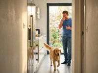Gases en perros: por qué ocurren y cómo mejorar su digestión