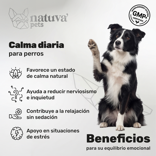 Calma Diaria para perros. Apoyo para la calma y el bienestar emocional
