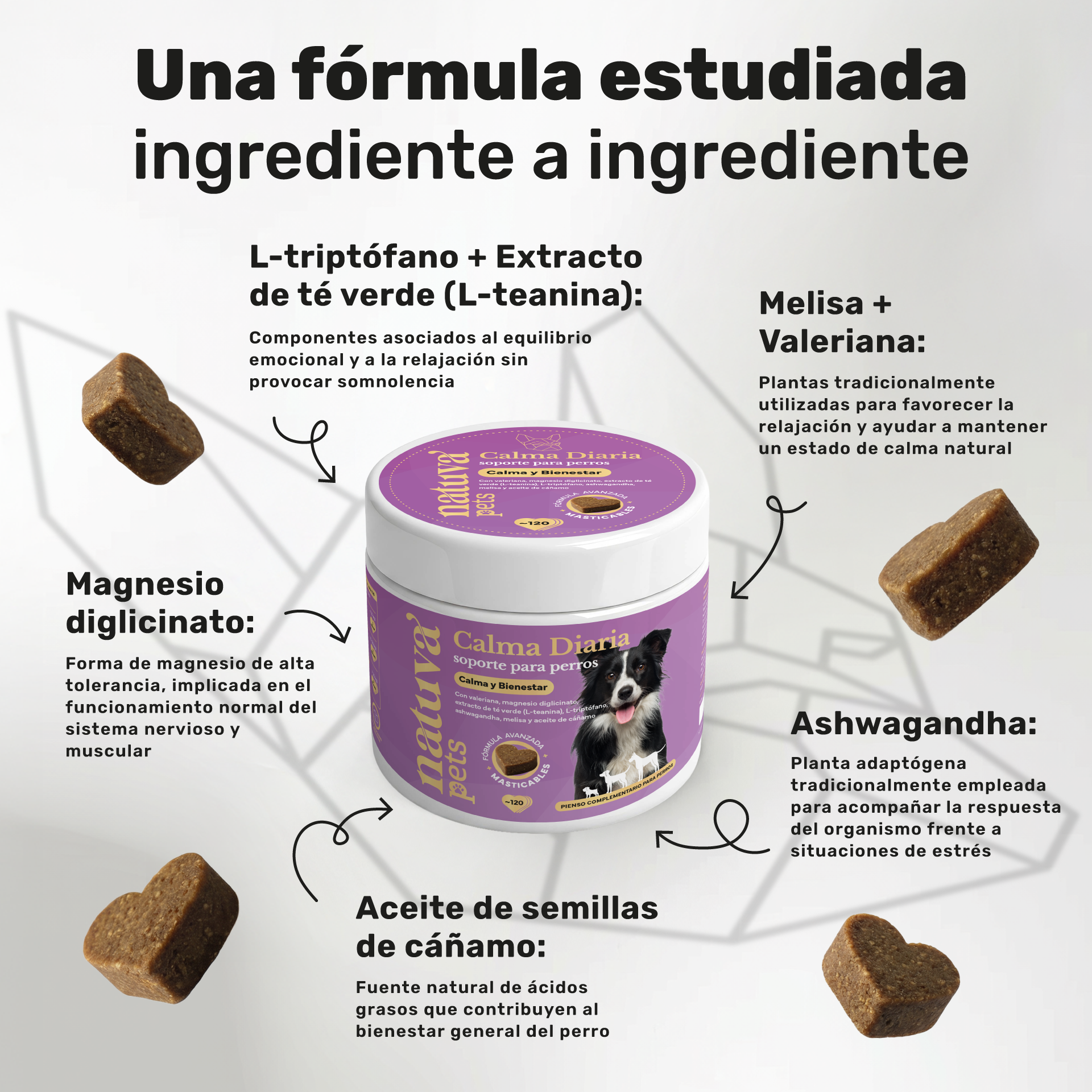 Calma Diaria para perros. Apoyo para la calma y el bienestar emocional