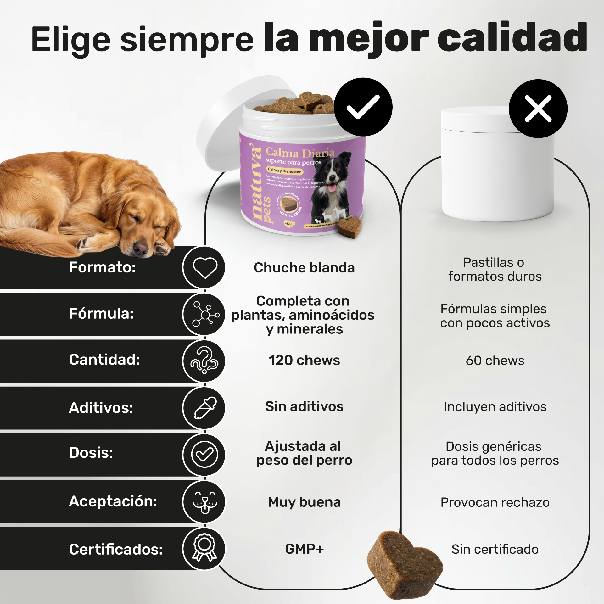 Calma Diaria para perros. Apoyo para la calma y el bienestar emocional