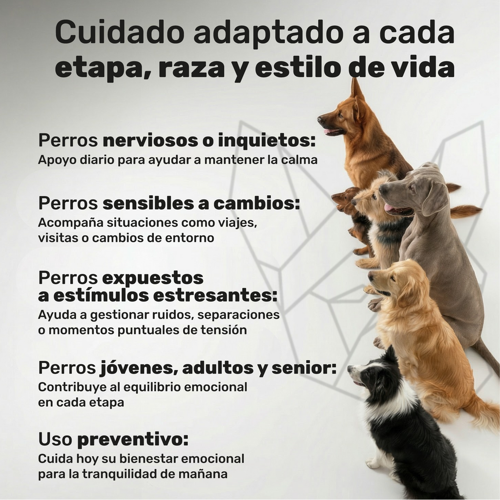 Calma Diaria para perros. Apoyo para la calma y el bienestar emocional