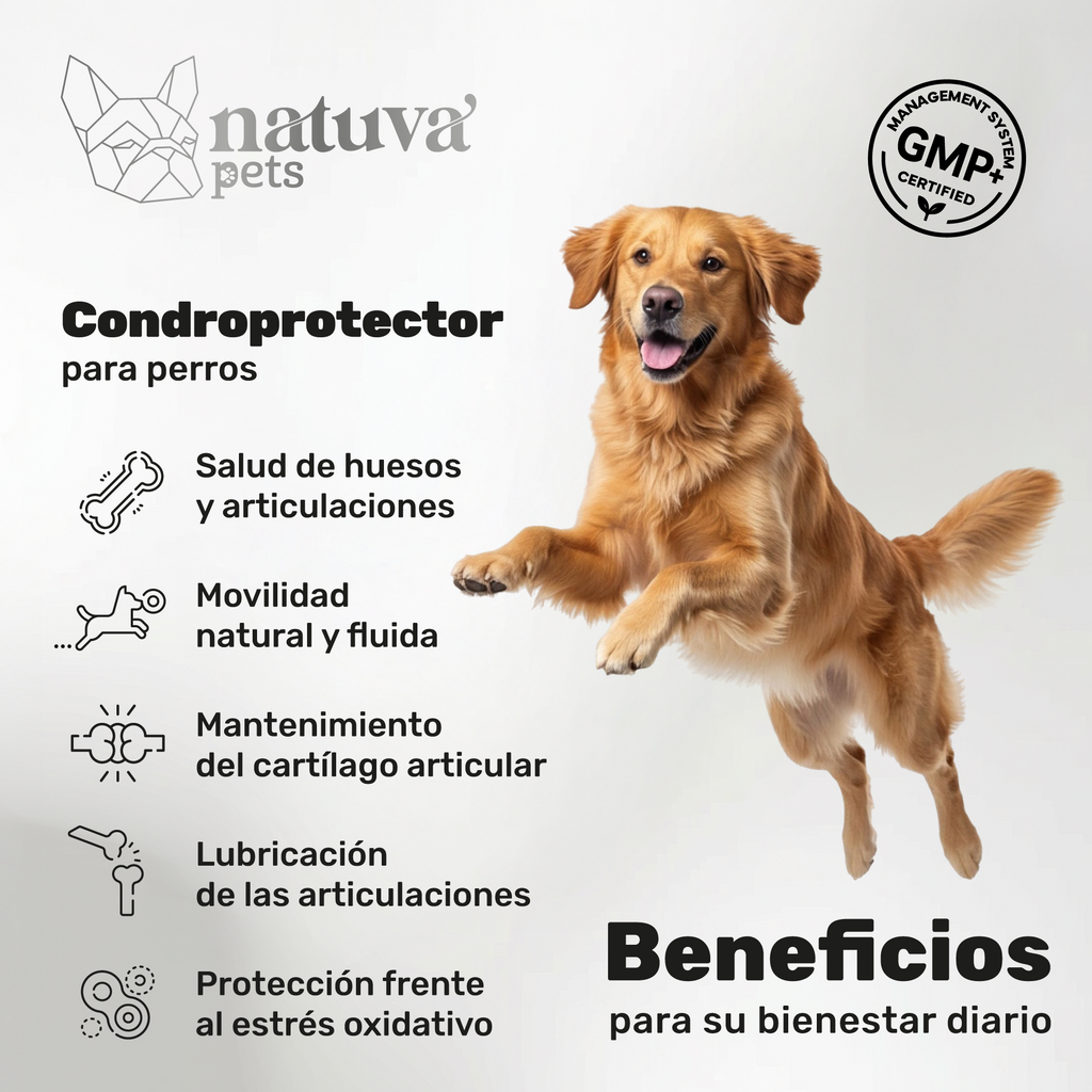 Condroprotector para perros. Soporte articular y movilidad