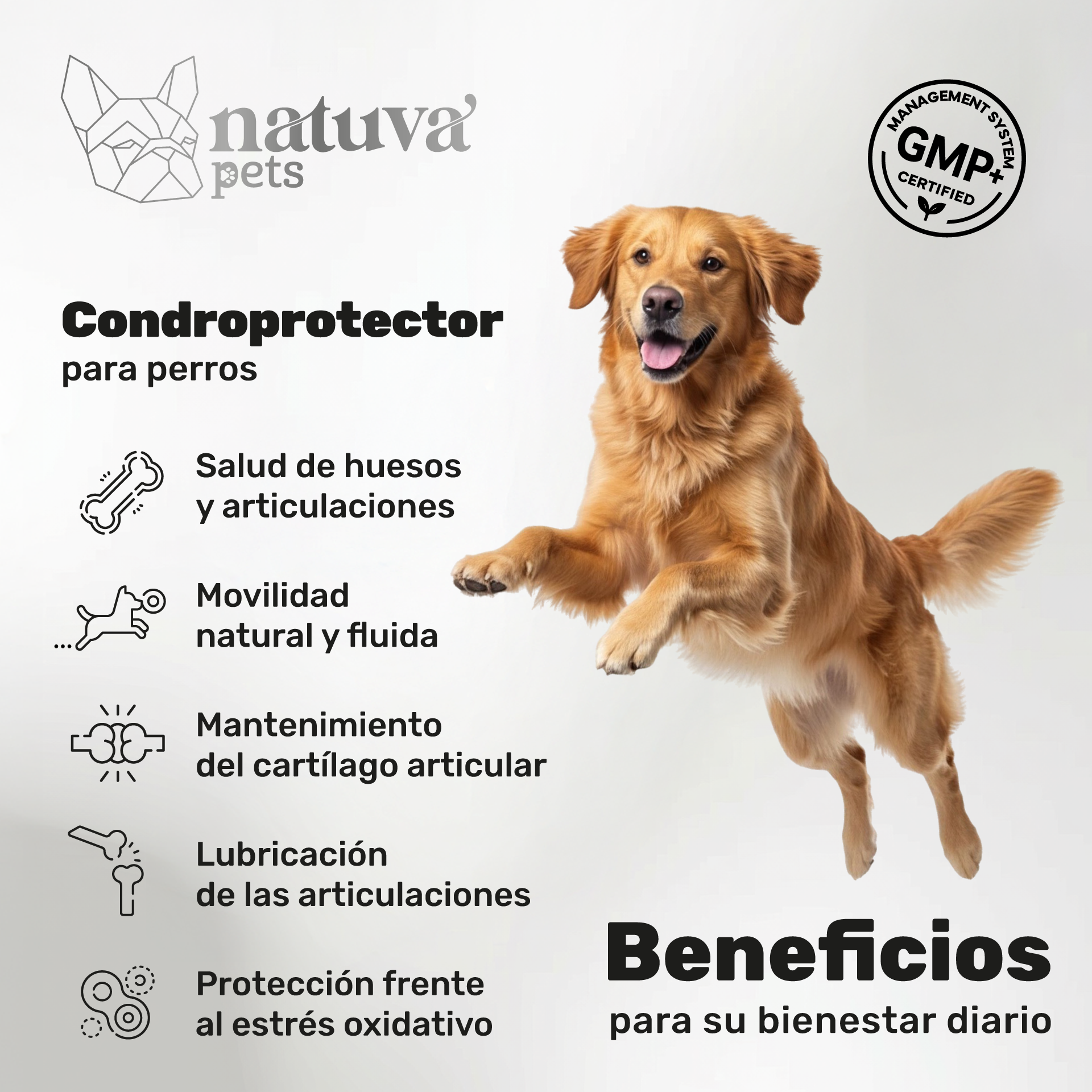 Condroprotector para perros. Soporte articular y movilidad