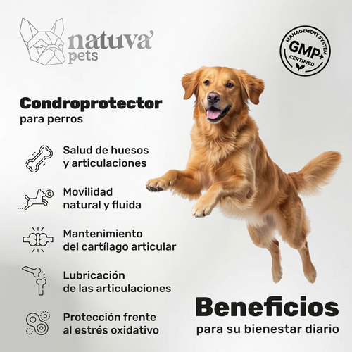 Condroprotector para perros. Soporte articular y movilidad