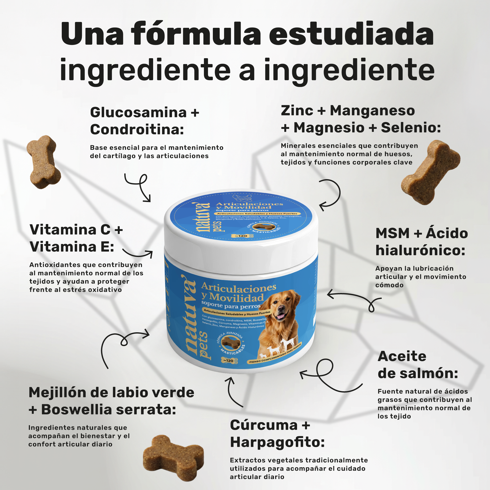 Condroprotector para perros. Soporte articular y movilidad