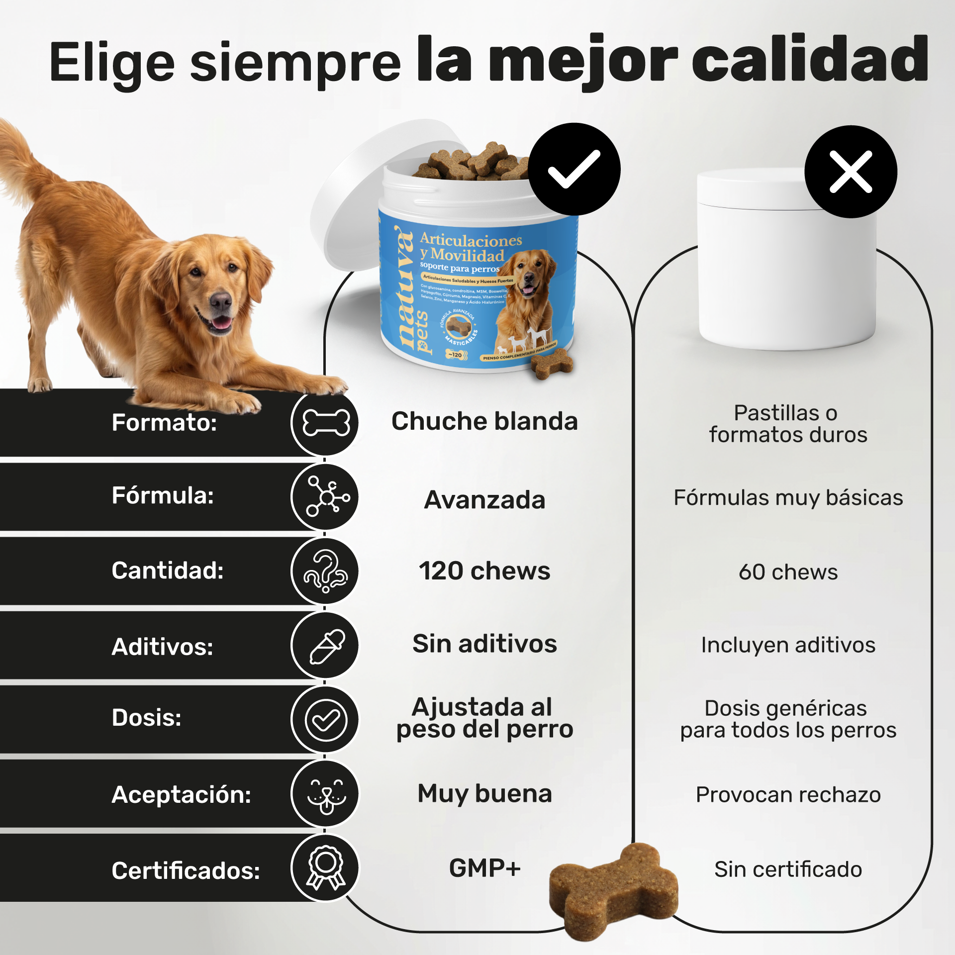 Condroprotector para perros. Soporte articular y movilidad