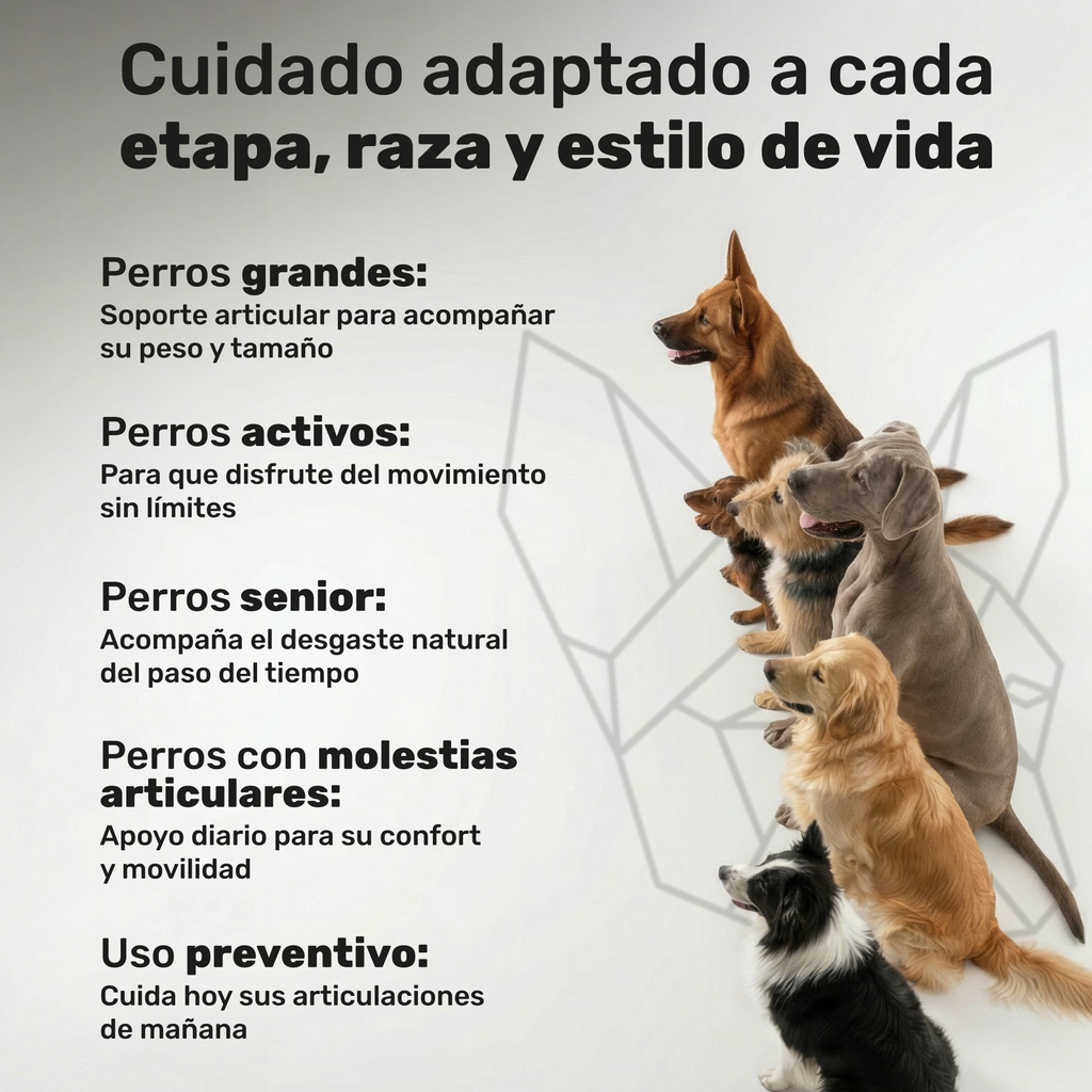 Condroprotector para perros. Soporte articular y movilidad