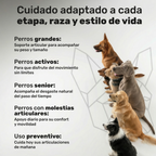 Condroprotector para perros. Soporte articular y movilidad