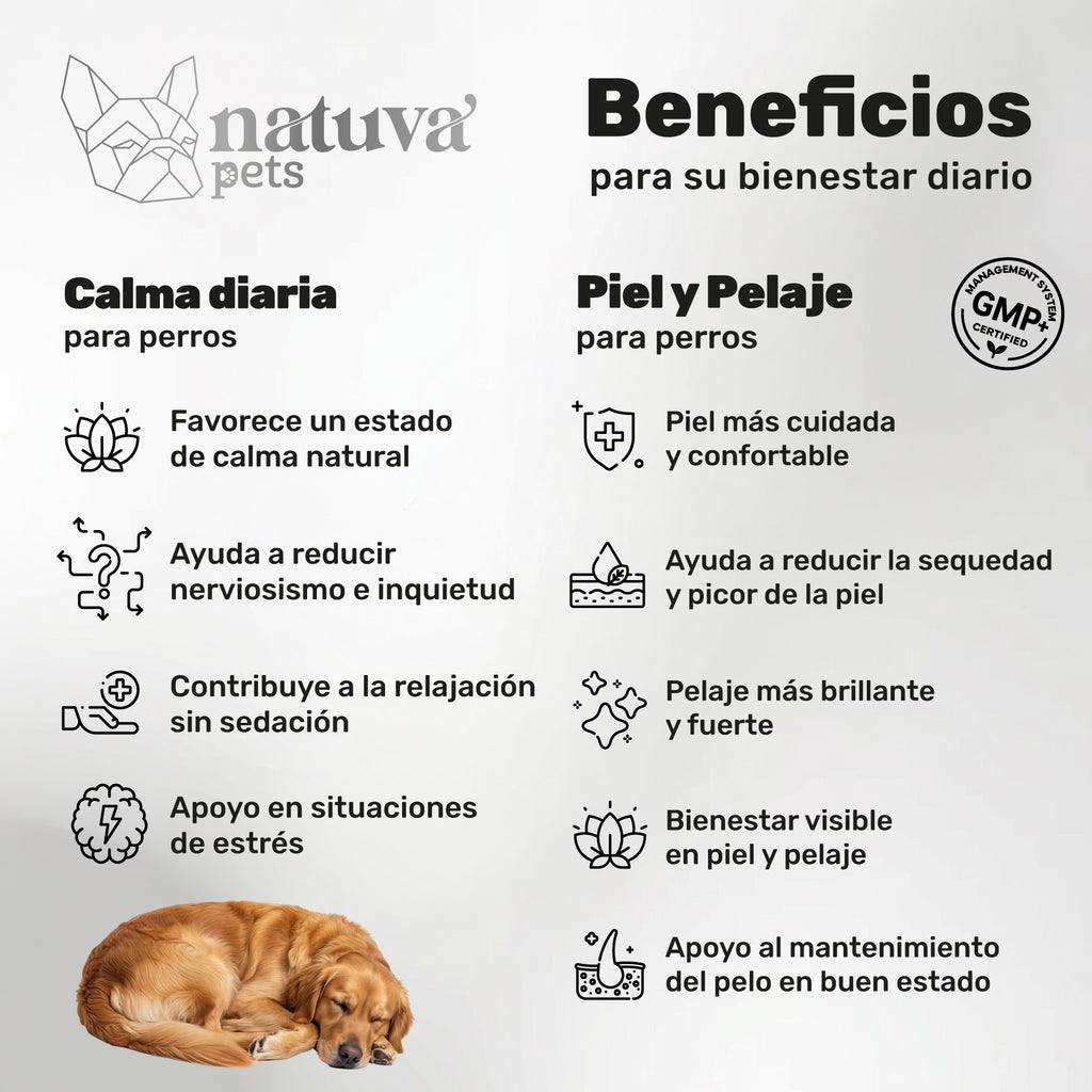 Duplo Calma + Piel y Pelaje para perros. Apoyo para la calma, piel sana, bienestar emocional y pelo brillante