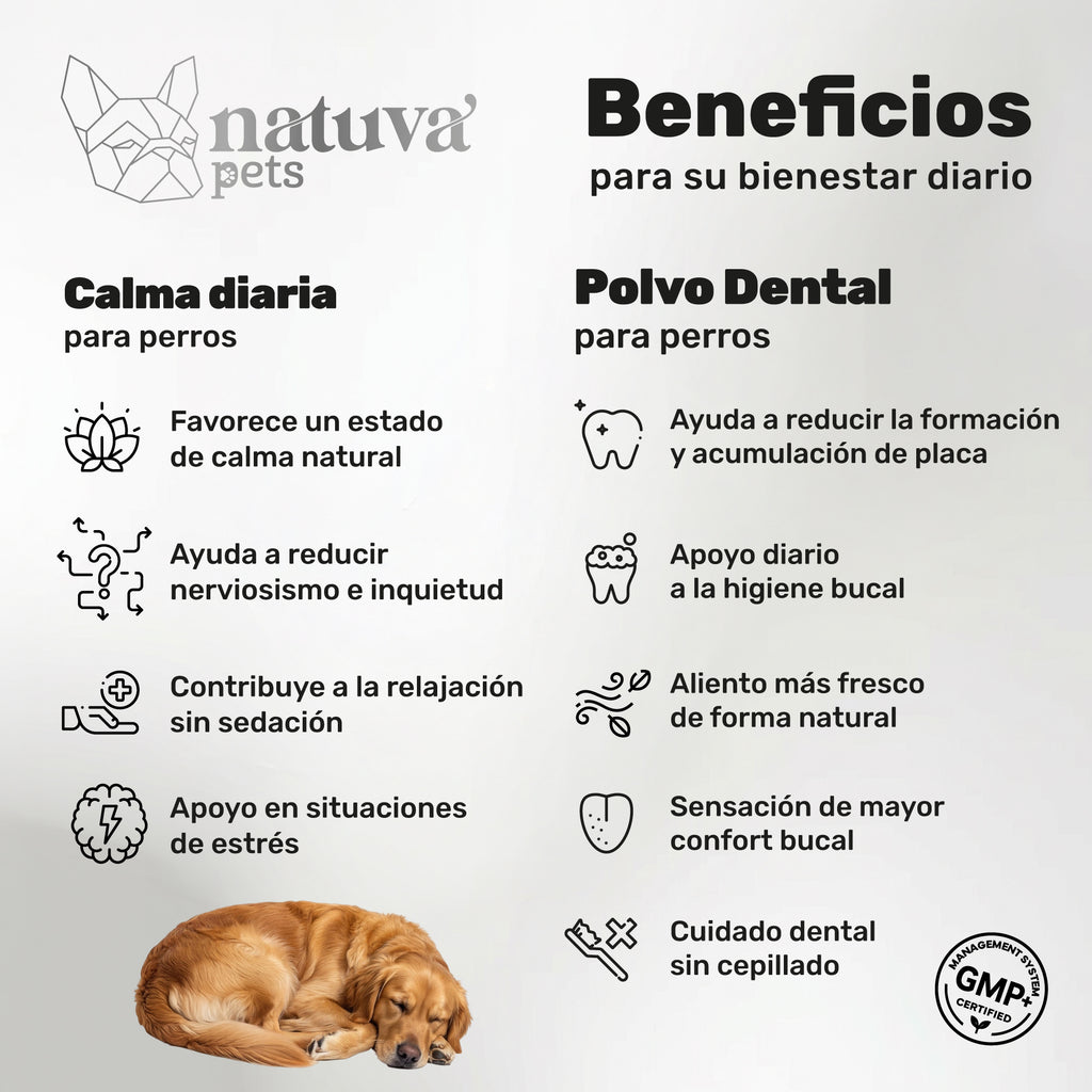 Duplo Calma + Polvo Dental para perros. Apoyo para la calma, higiene dental, bienestar emocional y aliento fresco