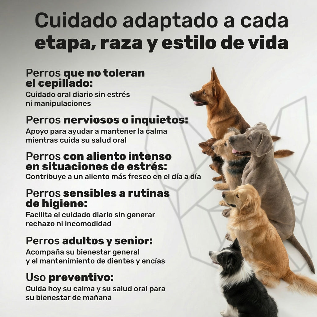 Duplo Calma + Polvo Dental para perros. Apoyo para la calma, higiene dental, bienestar emocional y aliento fresco