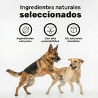 Duplo Polvo Dental + Probiótico para perros. Higiene dental, equilibrio intestinal, aliento fresco y bienestar digestivo