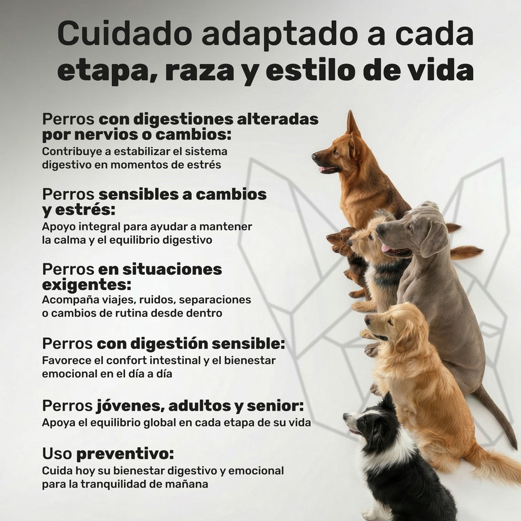 Duplo Probiótico + Calma imagen 6