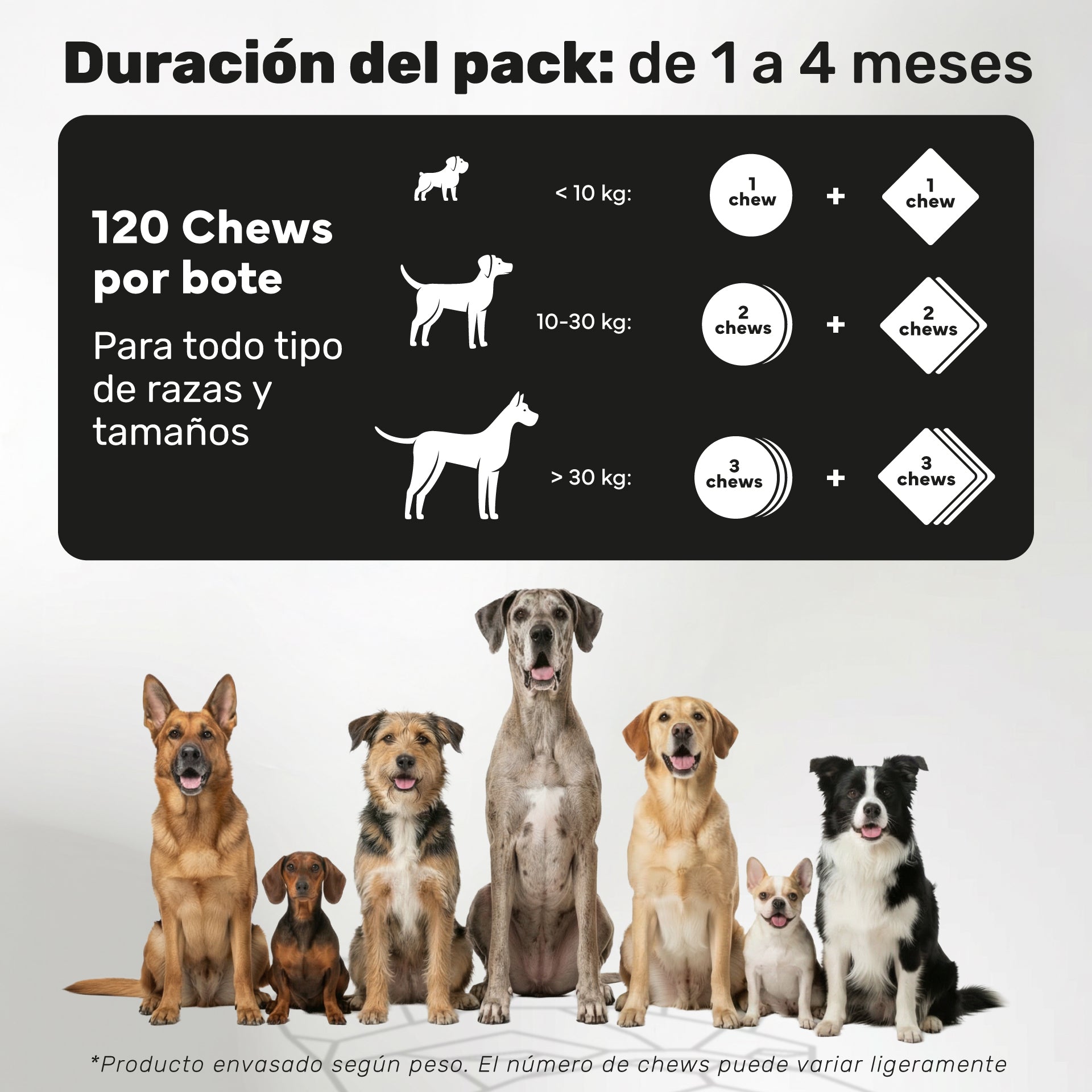 Duplo Probiótico + Piel y Pelaje para perros. Equilibrio intestinal, piel sana, bienestar digestivo y pelo brillante