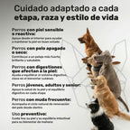 Duplo Probiótico + Piel y Pelaje para perros. Equilibrio intestinal, piel sana, bienestar digestivo y pelo brillante