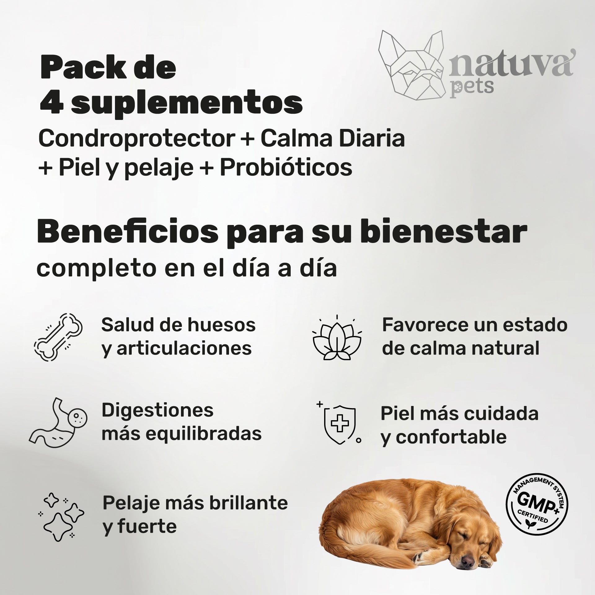 Pack Cuidado Total para perros. Calma, articulaciones, digestión, piel y pelaje - Natuva_Infograf_Pack Condro+Calma+Piel+Prob_PT01