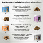 Pack Cuidado Total para perros. Calma, articulaciones, digestión, piel y pelaje - Natuva_Infograf_Pack Condro+Calma+Piel+Prob_PT02