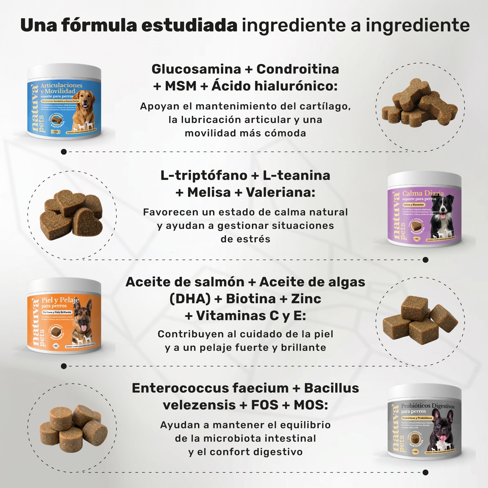 Pack Cuidado Total para perros. Calma, articulaciones, digestión, piel y pelaje - Natuva_Infograf_Pack Condro+Calma+Piel+Prob_PT02