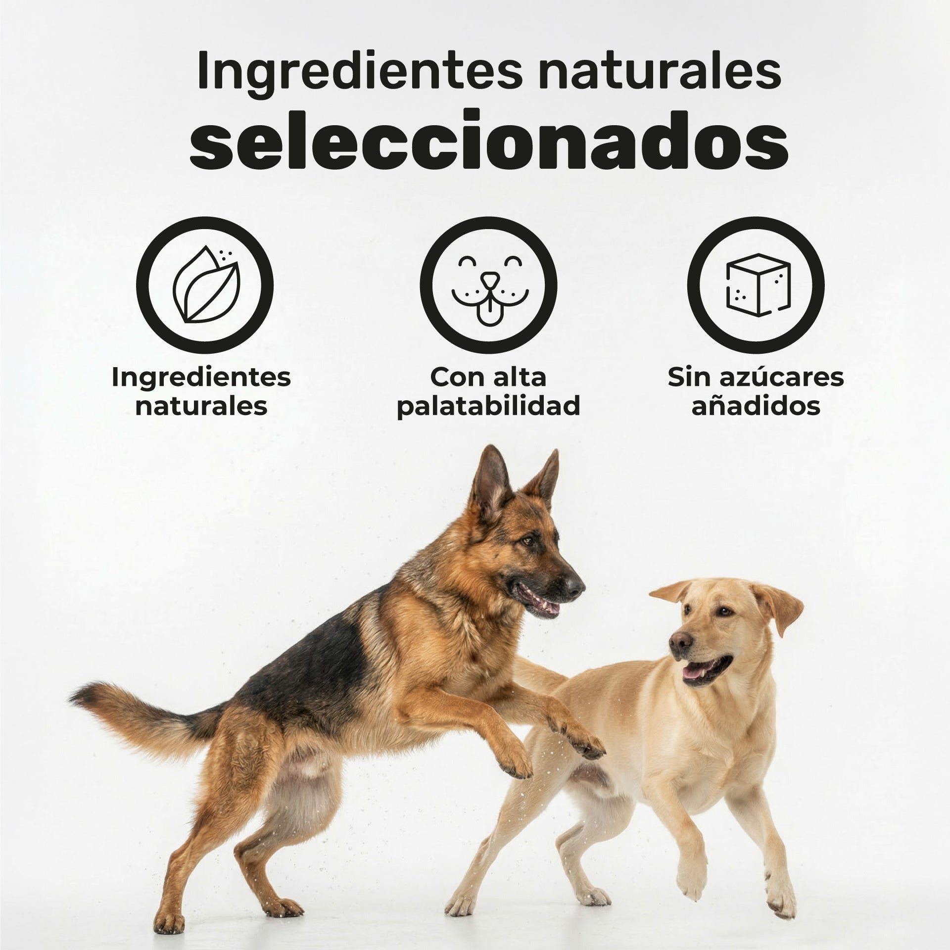 Pack Cuidado Total para perros. Calma, articulaciones, digestión, piel y pelaje - Natuva_Infograf_Pack Condro+Calma+Piel+Prob_PT04