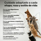 Pack Cuidado Total para perros. Calma, articulaciones, digestión, piel y pelaje - Natuva_Infograf_Pack Condro+Calma+Piel+Prob_PT05