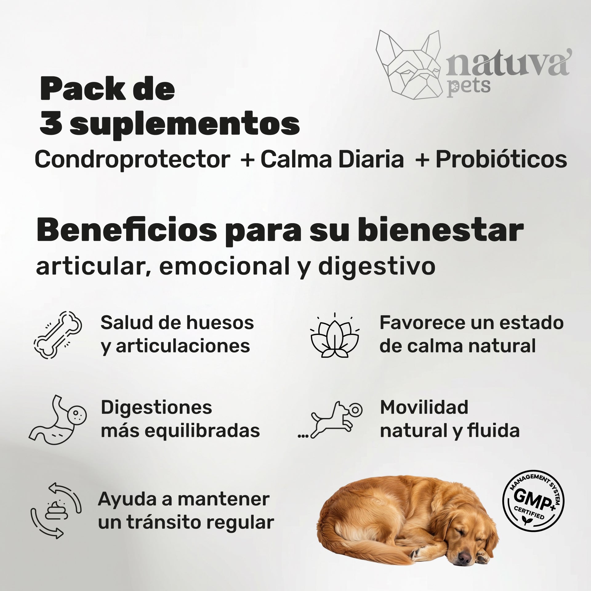 Pack Senior Integral para perros. Soporte articular, calma y bienestar digestivo - Natuva_Infograf_Pack Condro+Calma+Prob_PT01