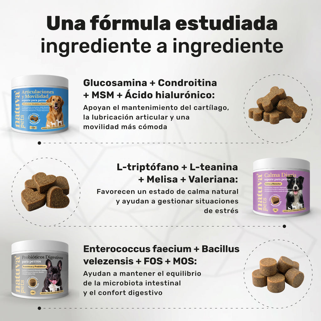 Pack Senior Integral para perros. Soporte articular, calma y bienestar digestivo - Natuva_Infograf_Pack Condro+Calma+Prob_PT02