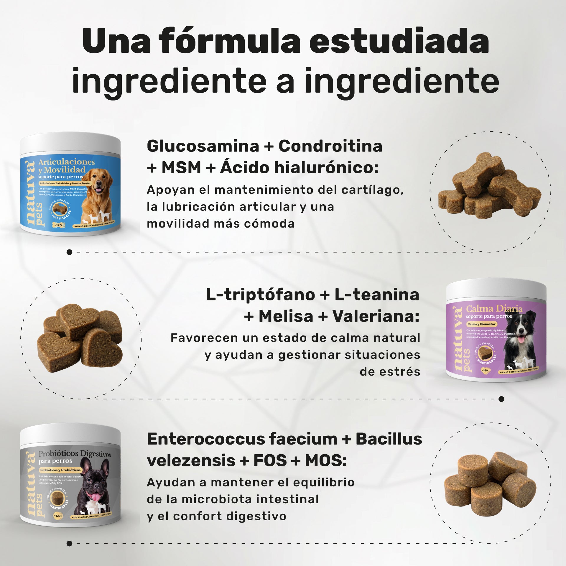 Pack Senior Integral para perros. Soporte articular, calma y bienestar digestivo - Natuva_Infograf_Pack Condro+Calma+Prob_PT02