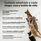 Pack Senior Integral para perros. Soporte articular, calma y bienestar digestivo - Natuva_Infograf_Pack Condro+Calma+Prob_PT05