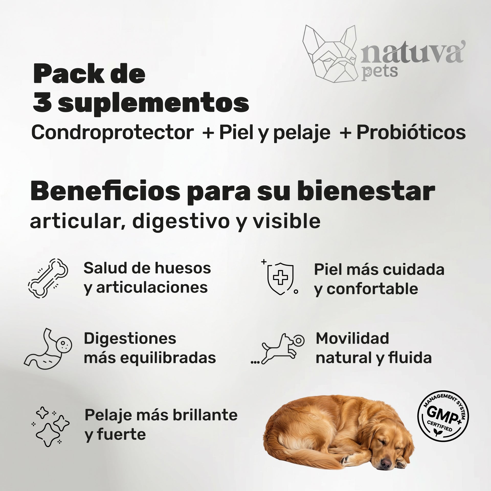 Pack Vitalidad Total para perros. Movilidad, piel sana y equilibrio intestinal - Natuva_Infograf_Pack Condro+Piel+Prob_PT01