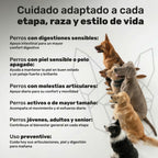 Pack Vitalidad Total para perros. Movilidad, piel sana y equilibrio intestinal - Natuva_Infograf_Pack Condro+Piel+Prob_PT05