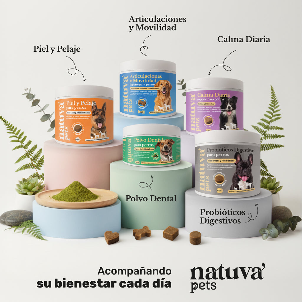 Pack Vitalidad Total para perros. Movilidad, piel sana y equilibrio intestinal - Natuva_Infograf_Pack Condro+Piel+Prob_PT07
