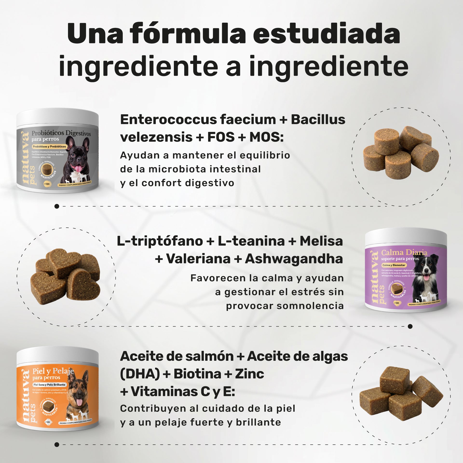 Pack Equilibrio Total para perros. Probiótico, calma, piel sana y pelo brillante - Natuva_Infograf_Pack Prob+Calma+Piel_PT02