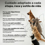 Pack Equilibrio Total para perros. Probiótico, calma, piel sana y pelo brillante - Natuva_Infograf_Pack Prob+Calma+Piel_PT05
