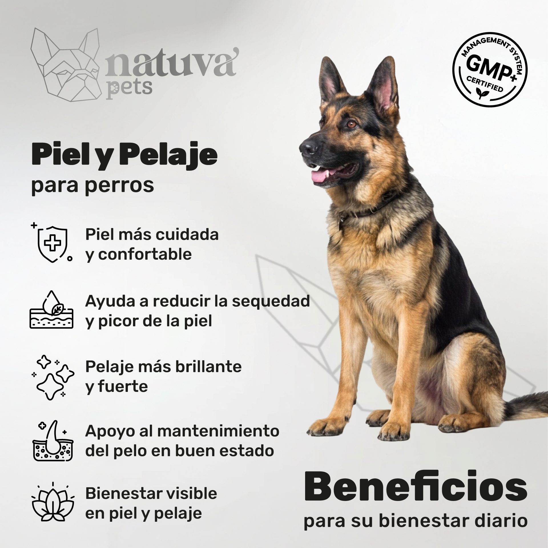 Piel y Pelaje para perros. Piel sana y pelo brillante