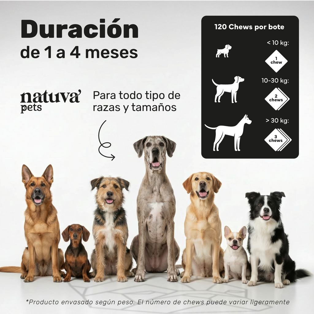 Piel y Pelaje para perros. Piel sana y pelo brillante