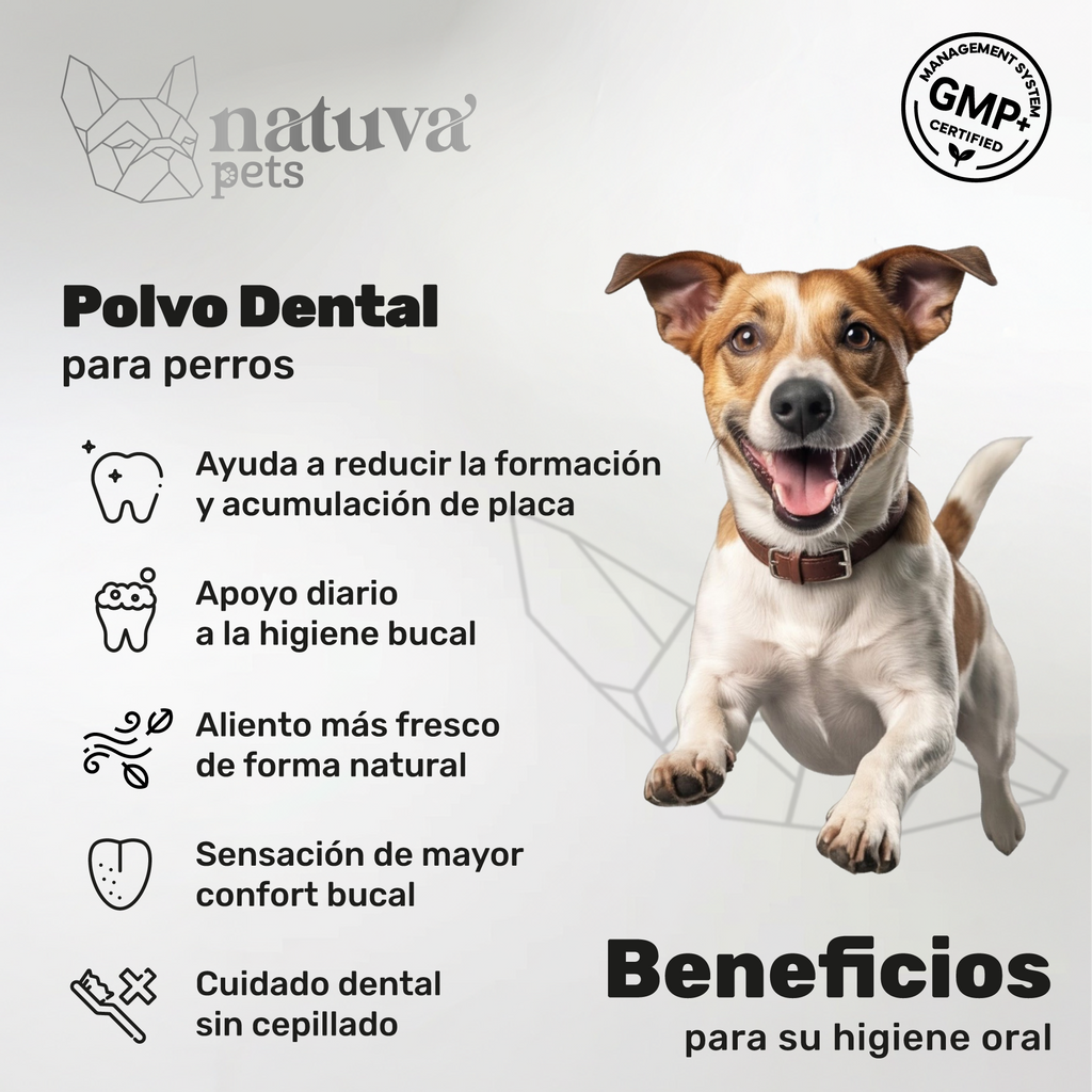 Polvo dental para perros. Higiene oral y aliento fresco