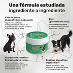 Polvo dental para perros. Higiene oral y aliento fresco