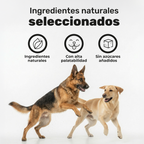 Polvo dental para perros. Higiene oral y aliento fresco