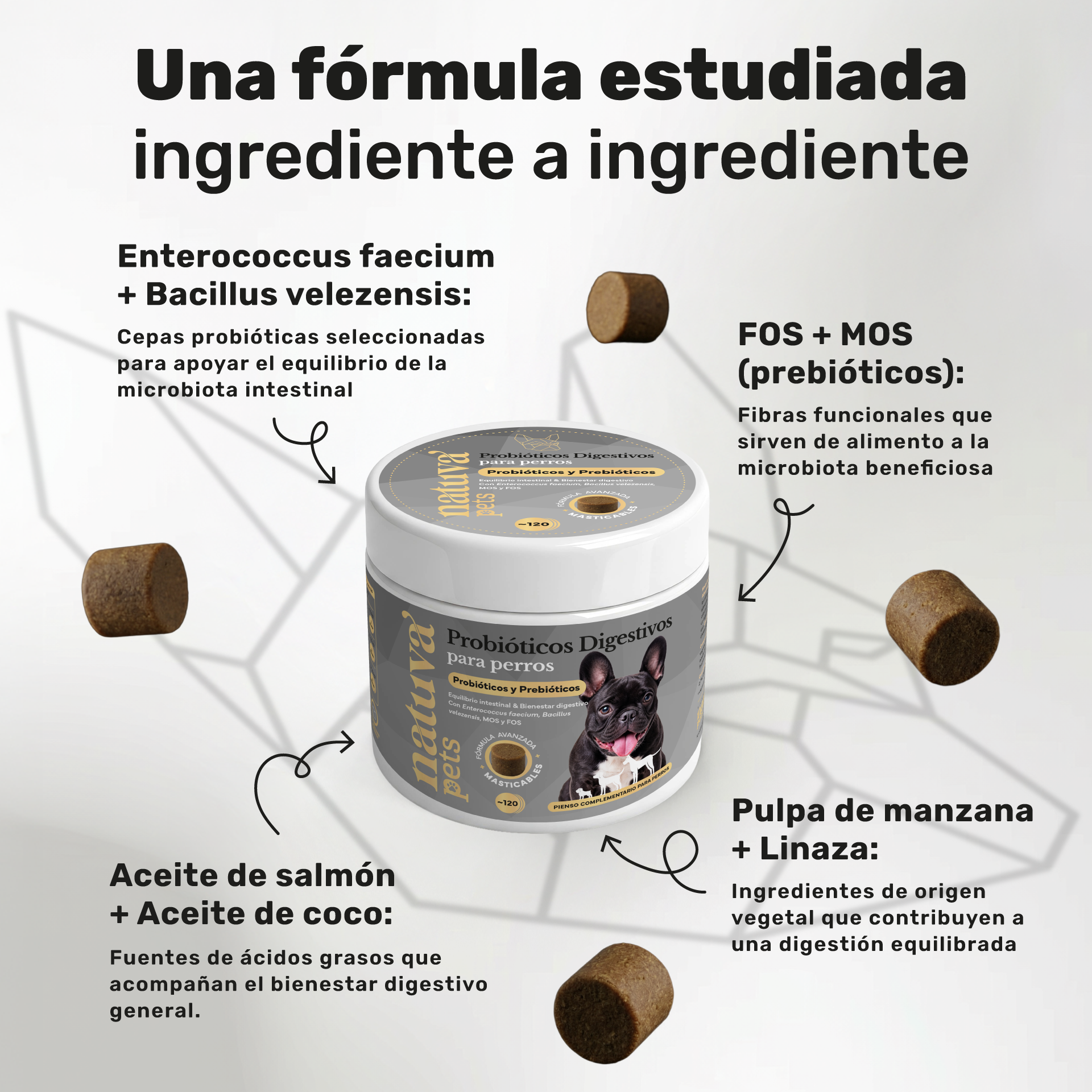 Probióticos para perros. Equilibrio intestinal y bienestar digestivo