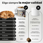 Probióticos para perros. Equilibrio intestinal y bienestar digestivo
