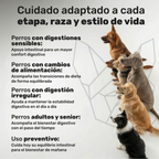 Probióticos para perros. Equilibrio intestinal y bienestar digestivo