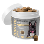 Probióticos para perros. Equilibrio intestinal y bienestar digestivo