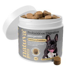 Probióticos para perros. Equilibrio intestinal y bienestar digestivo