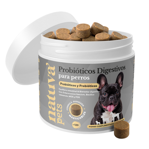 Probióticos para perros. Equilibrio intestinal y bienestar digestivo