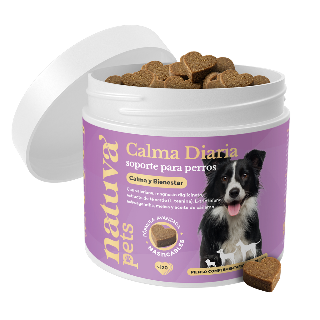 Calma Diaria para perros. Apoyo para la calma y el bienestar emocional