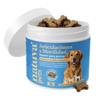 Condroprotector para perros. Soporte articular y movilidad