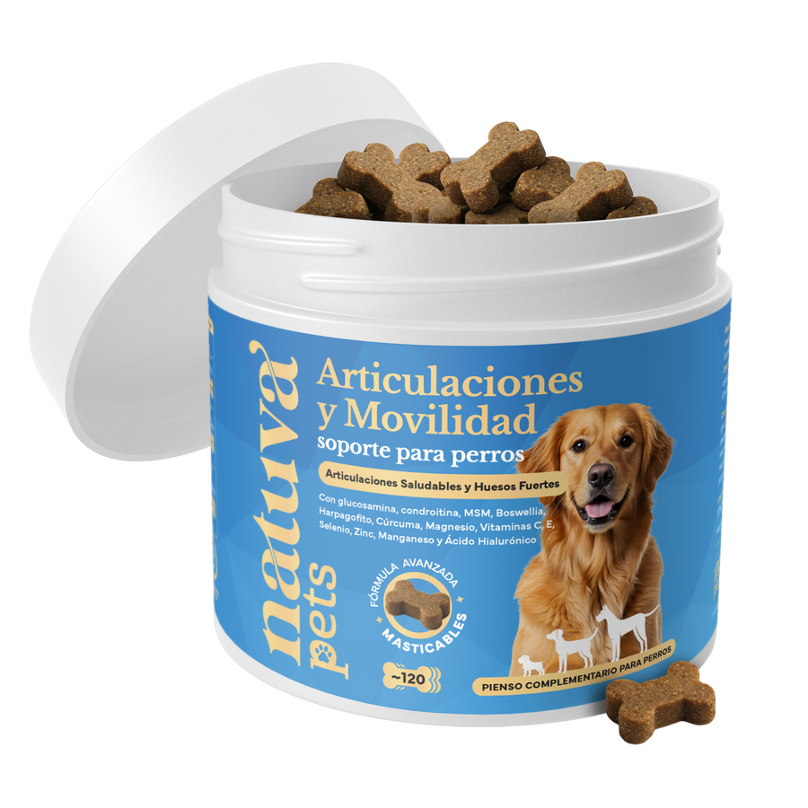 Condroprotector para perros. Soporte articular y movilidad