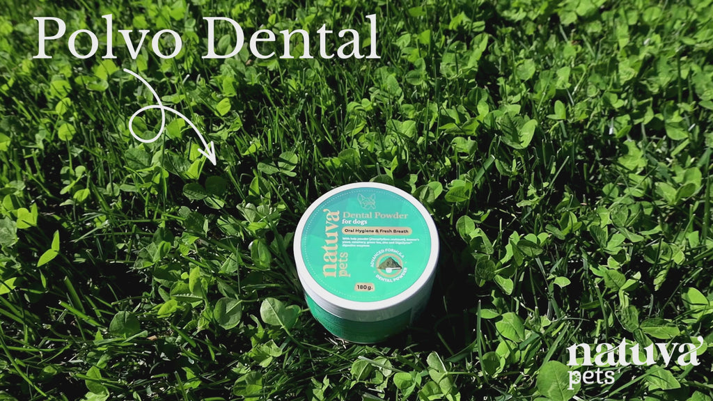 Polvo dental para perros. Higiene oral y aliento fresco
