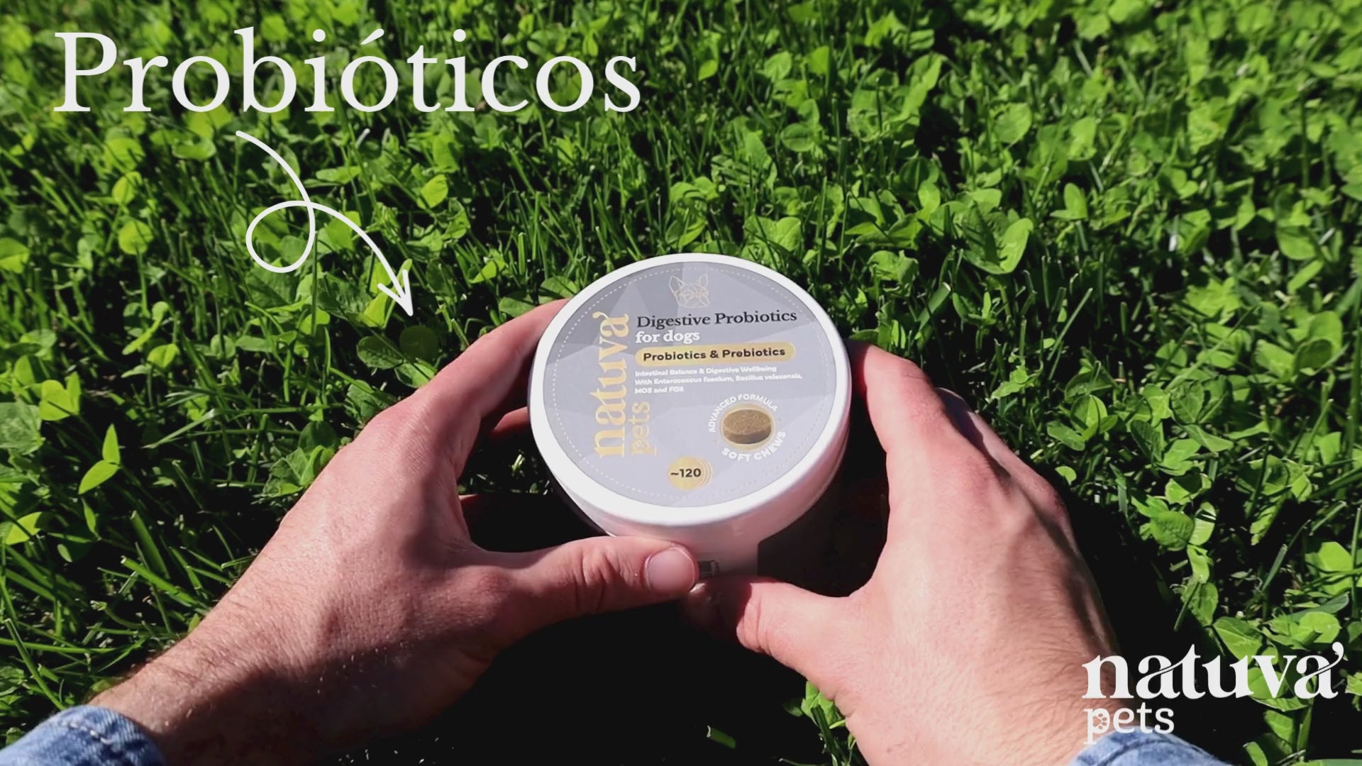Probióticos para perros. Equilibrio intestinal y bienestar digestivo