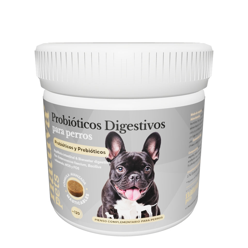 Probiotiques pour chiens – Équilibre intestinal et bien-être digestif